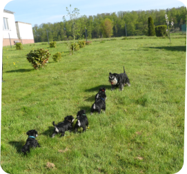 Agrippina mit ihren Kindern - G-Wurf