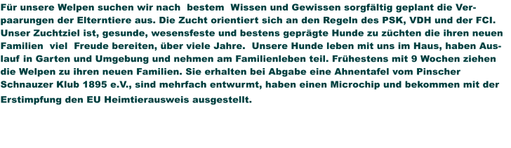 Für unsere Welpen suchen wir nach  bestem  Wissen und Gewissen sorgfältig geplant die Verpaarungen der Elterntiere aus. Die Zucht orientiert sich an den Regeln des PSK, VDH und der FCI. Unser Zuchtziel ist, gesunde, wesensfeste und bestens geprägte Hunde zu züchten die ihren neuen Familien  viel  Freude bereiten, über viele Jahre.  Unsere Hunde leben mit uns im Haus, haben Auslauf in Garten und Umgebung und nehmen am Familienleben teil. Frühestens mit 9 Wochen ziehen die Welpen zu ihren neuen Familien. Sie erhalten bei Abgabe eine Ahnentafel vom Pinscher Schnauzer Klub 1895 e.V., sind mehrfach entwurmt, haben einen Microchip und bekommen mit der Erstimpfung den EU Heimtierausweis ausgestellt.